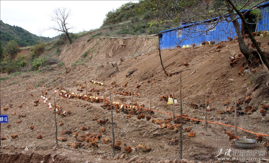 ��������������ƽ��������