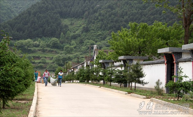 ���������Ŵ�