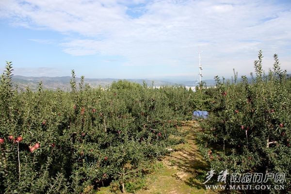 ��ţƻ��ʾ��԰