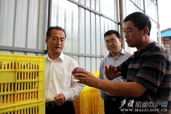 �˽⻨ţƻ���������